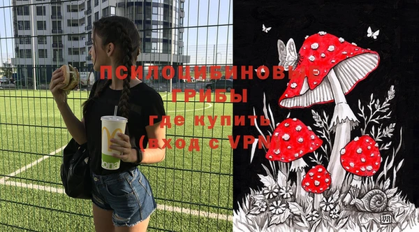 PSILOCYBIN Алексин