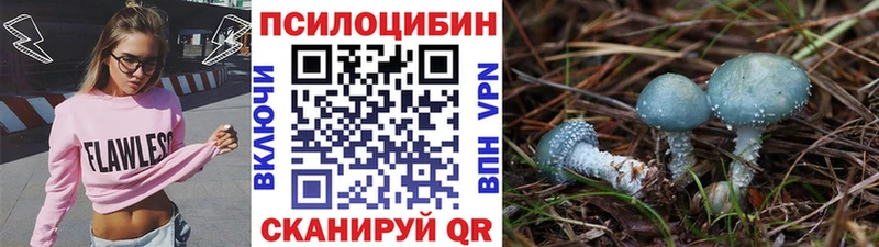 Галлюциногенные грибы Psilocybe  Салехард 